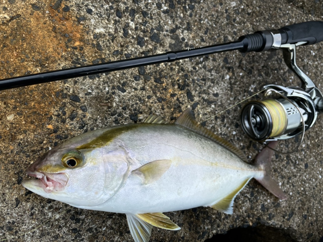 TRUTH JAPAN Light Switcher 73/78 - Anglers Garage