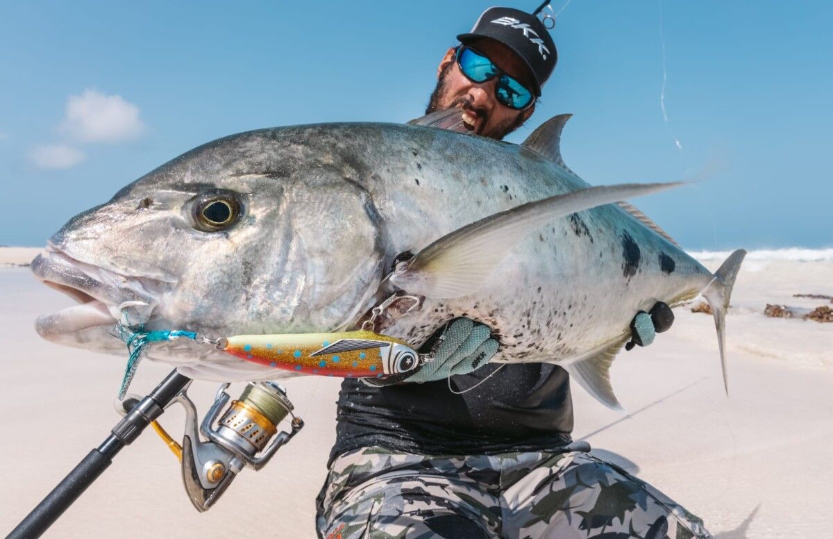 TRUTH JAPAN Ocean Sprinter 856 - Image 7